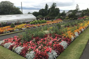Ardencraig nursery to re-open – but plants only for Bute