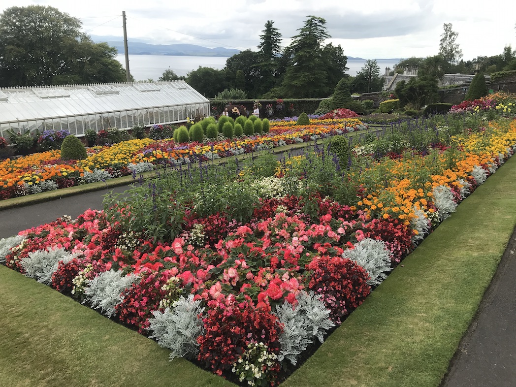 Ardencraig nursery to re-open – but plants only for Bute